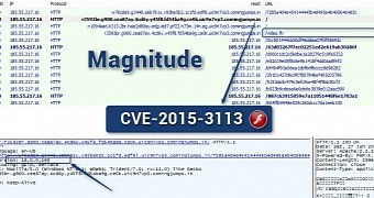 Magnitude EK exploits Flash Player in IE 11, drops CryptoWall