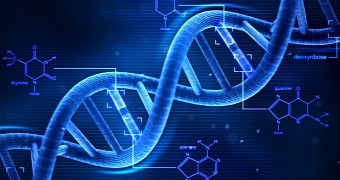 Study finds genetics correlates with political ideology