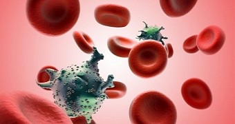 Researchers: HIV Does Not Cause AIDS, Not Directly at Least