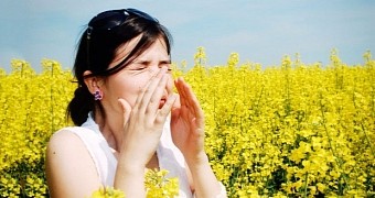 Study describes cells that might help fight allergies