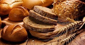 The first loaves of bread were cooked 12,500 years back, evidence indicates