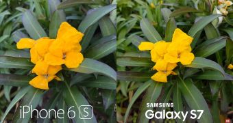 iPhone 6s vs. Galaxy S7 camera sample