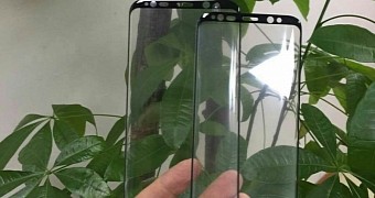 Glass screen protectors for the Galaxy S8