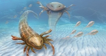 Scary-Looking Ancient Sea Scorpion Was the Size of a Human