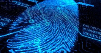 Your fingerprints reveal if you're black or white, study finds