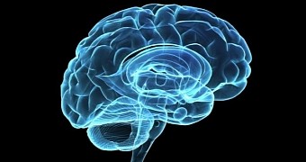 Scientists Demonstrate Wireless Brain Control