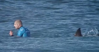 Shark Attacks Champion Surfer Mick Fanning on Live Television - Video