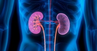 Sitting or Lying Long Hours Puts Your Kidneys at Risk
