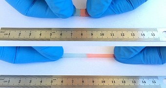 The self-healing material developed by scientists at UC Riverside