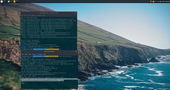 Colored terminal output in Solus