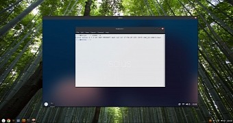 Solus OS in action