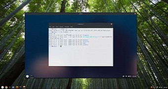 Solus OS Gets a Refreshed Filysystem and Is Moving Closer to a Stable Release