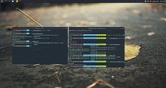 Solus to Move to GNOME 3.22 Stack Soon, Adopt Linux 4.9 and Bulletproof Updates