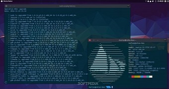 Solus Users Receive Linux Kernel 4.8.10 and Vivaldi 1.5, QOwnNotes Lands as Well