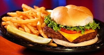 Study Finds Evidence Junk Food Makes the Brain Shrink