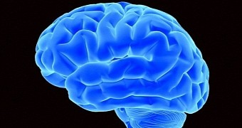 Study Links Schizophrenia to Inflammation in the Brain