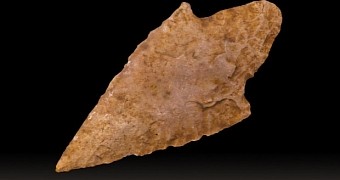 A Neolithic arrowhead unearthed in France