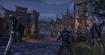 The fight for patches in The Elder Scrolls Online