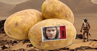 In “The Martian,” astronaut Mark Watney survives on the Red Planet off potatoes