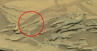 Alleged floating spoon on Mars