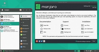 compare linux lite and elemetary os and manjaro