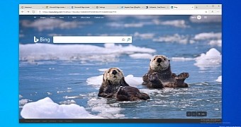 Chromium-based Microsoft Edge browser