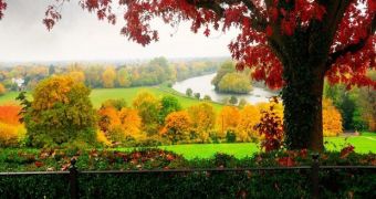 Richmond Park in autumn