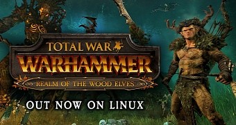 Total War: WARHAMMER Realm of the Wood Elves DLC out now on Linux