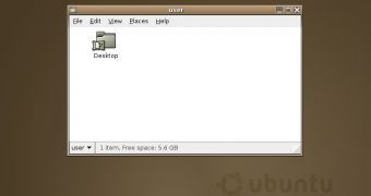 Ubuntu 4.10 desktop