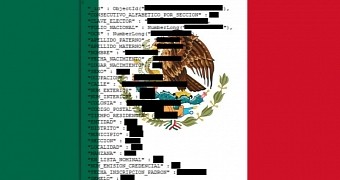 Database of Mexican voters exposed online by accident