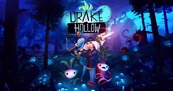 Drake Hollow artwork