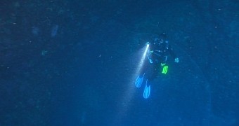 Watch: Divers Exploring the Mediterranean Find Squid Egg Nest