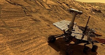NASA's Opportunity rover landed on Mars in January 2004