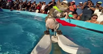 Watch: Waterskiing Squirrel Will Definitely Make Your Day