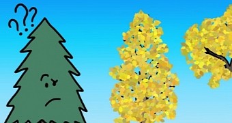 Science video explains why some trees lose their leaves in autumn