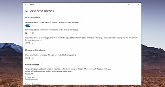 Windows Update options in version 2004