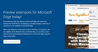 Edge browser extensions page