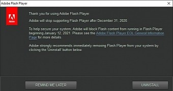 The Flash Player warning