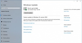 Windows 10 version 1903 in Windows Update