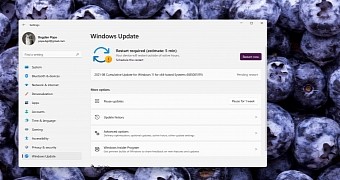 Windows Update in Windows 11