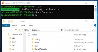 File Explorer running on WSL in Windows 10