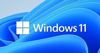 The update is available for Windows 11 users