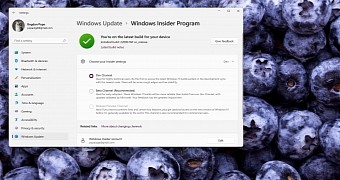 Windows Insider settings on Windows 11