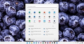 New Windows 11 Start menu with a search box