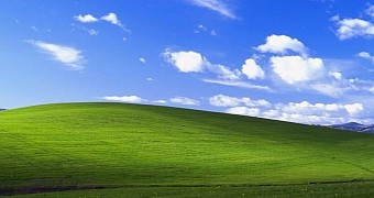 The original Windows XP Bliss wallpaper