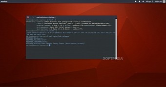 Ubuntu 17.04 gets X.Org Server 1.19.3