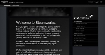 Steamworks, Valve's Steam backend panel for game devs
