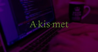 Akismet affected by critical XSS vulnerability