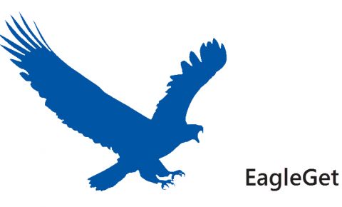 EagleGet Download Accelerator – Review