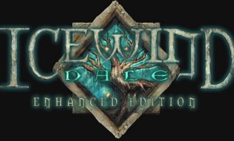 Icewind Dale: Enhanced Edition cover